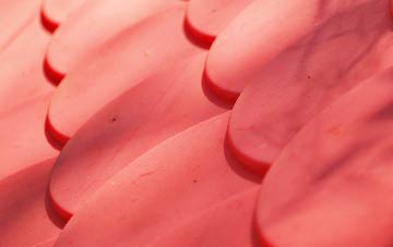 Camerton plastic roof costs