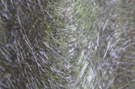 Camerton fibreglass roof work